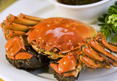 大闸蟹团购